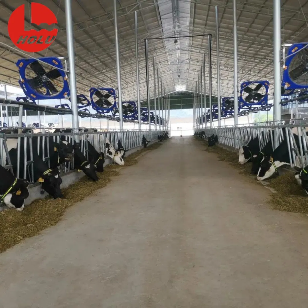 Premium Steel Cattle Sheds Top Grade Materials, Tailor Made Solutions