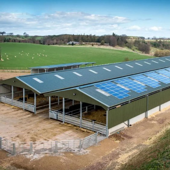 Quick Installation Steel Frame Hay Storage Shed Barn Steel Structure Building Project Solutions