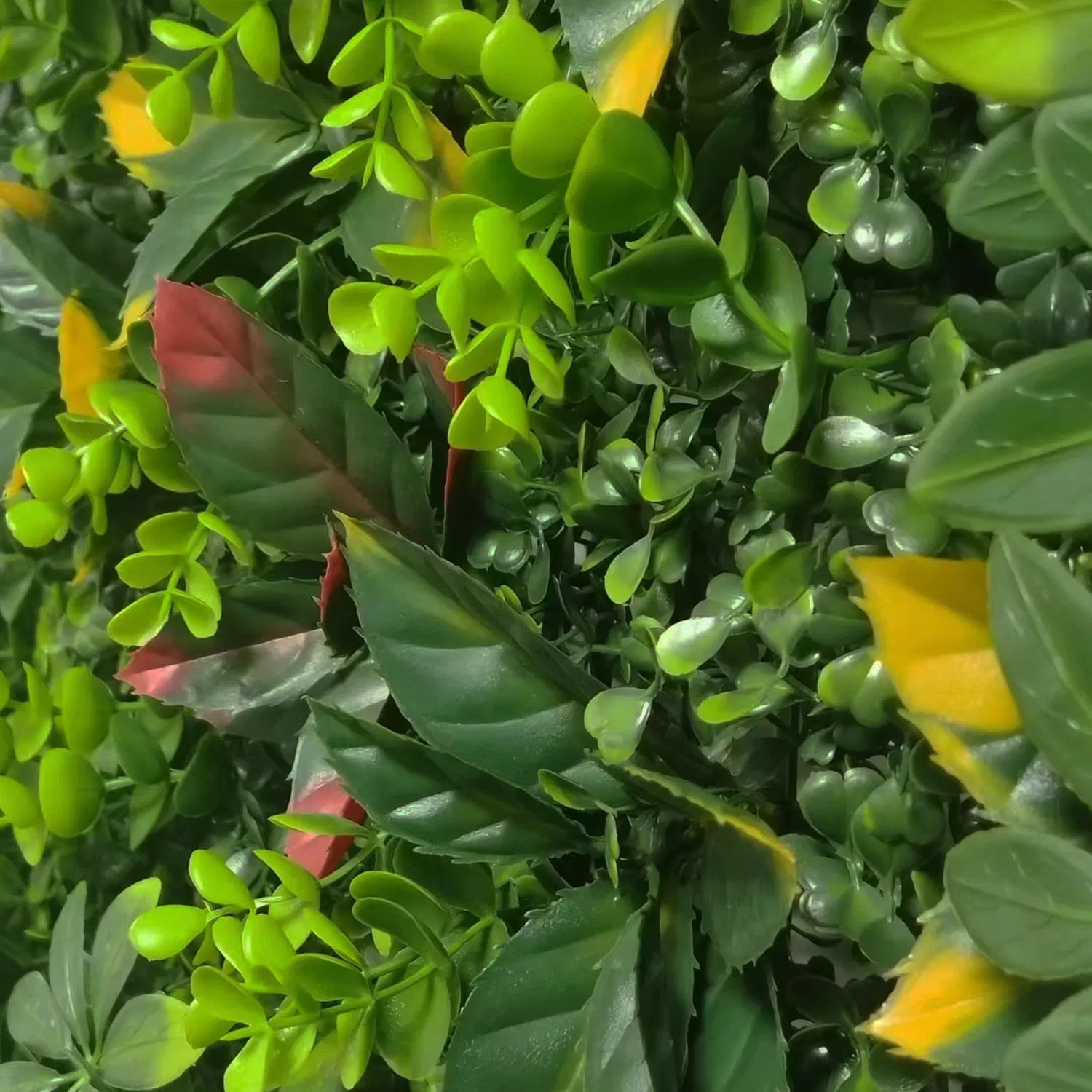 Artificial Green Wall Moss System for Decoration Artificial Boxwood Supplies Privacy Screen Faux Green Wall Panel