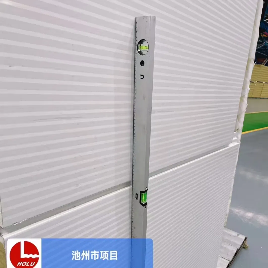 Environmentally Friendly Recyclable Insulated Sandwich Panel for Sustainable Building Envelopes