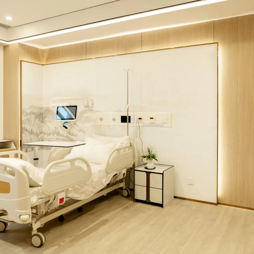 Easy to Clean Debo 8mm Hygienic Phenolic HPL Hospital Wall Paneling System Interior Solution