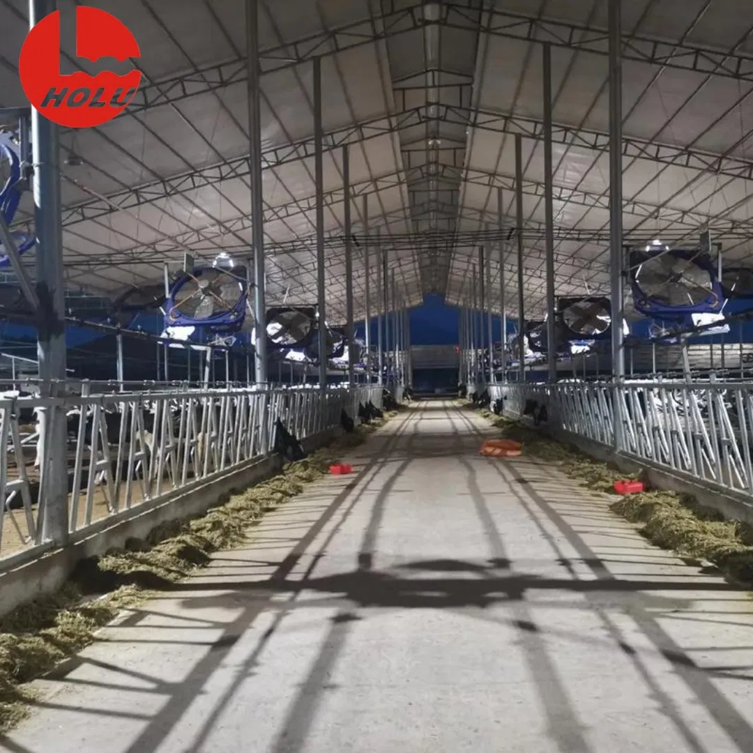 Premium Steel Cattle Sheds Top Grade Materials, Tailor Made Solutions