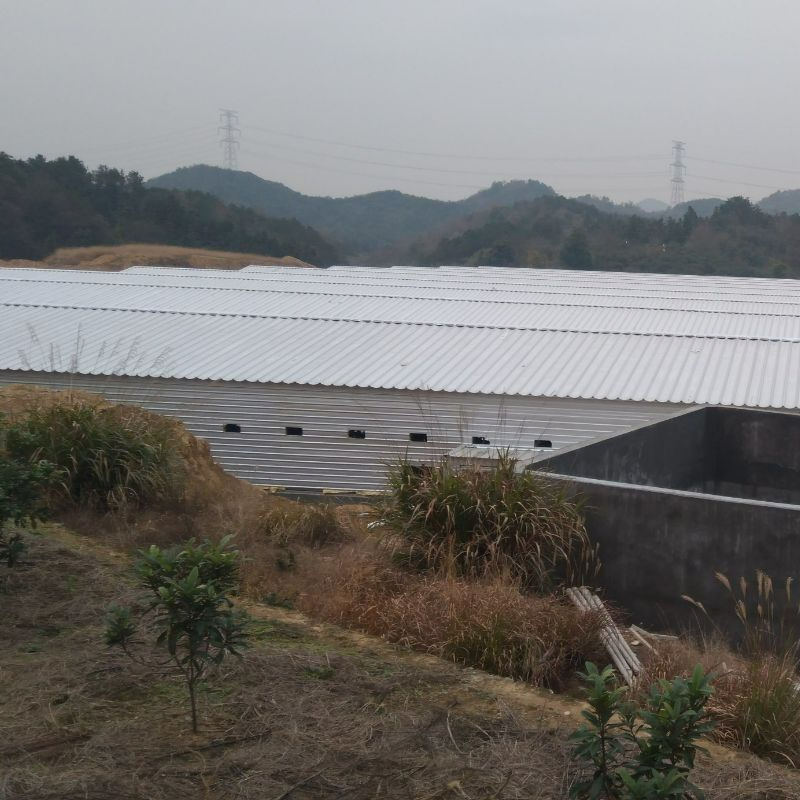 New Budget-Friendly Chicken Coop Solution