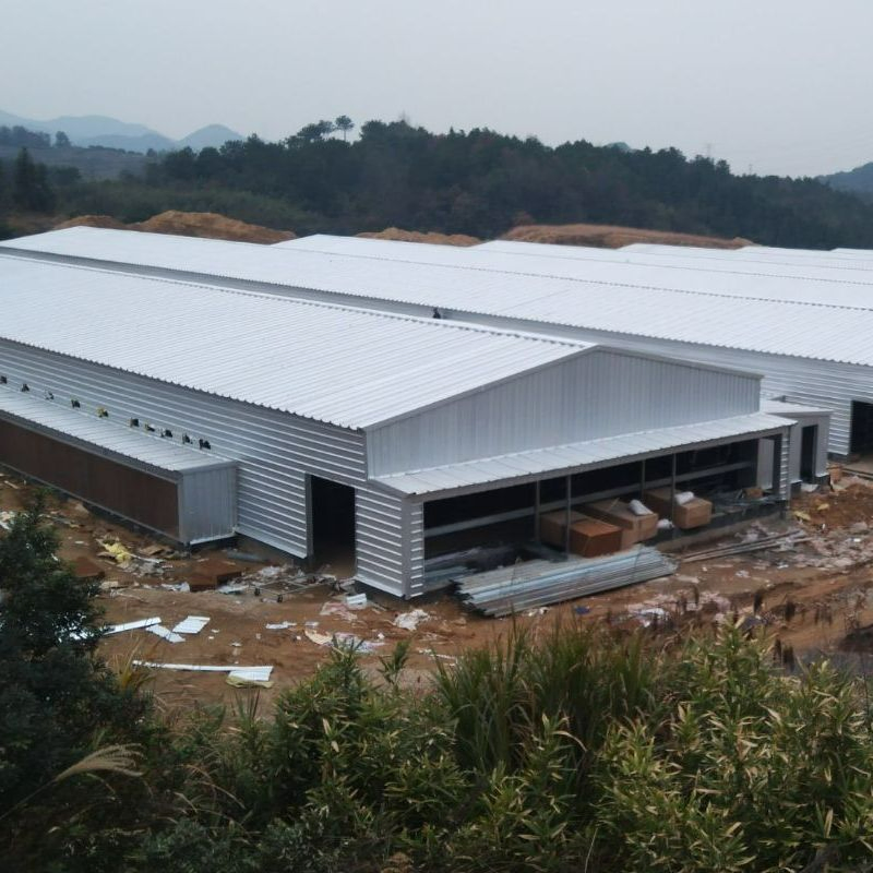 New Budget-Friendly Chicken Coop Solution