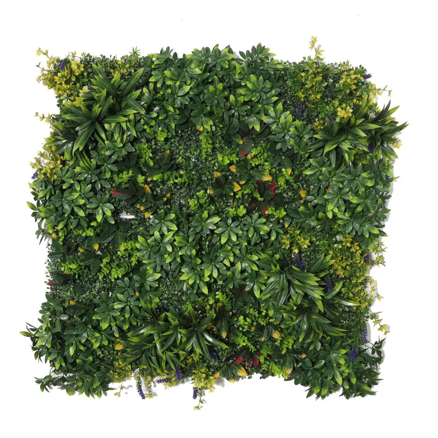Artificial Green Wall Moss System for Decoration Artificial Boxwood Supplies Privacy Screen Faux Green Wall Panel