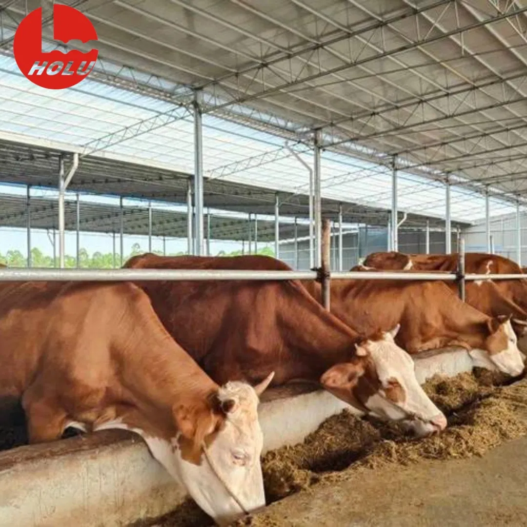 Premium Steel Cattle Sheds Top Grade Materials, Tailor Made Solutions