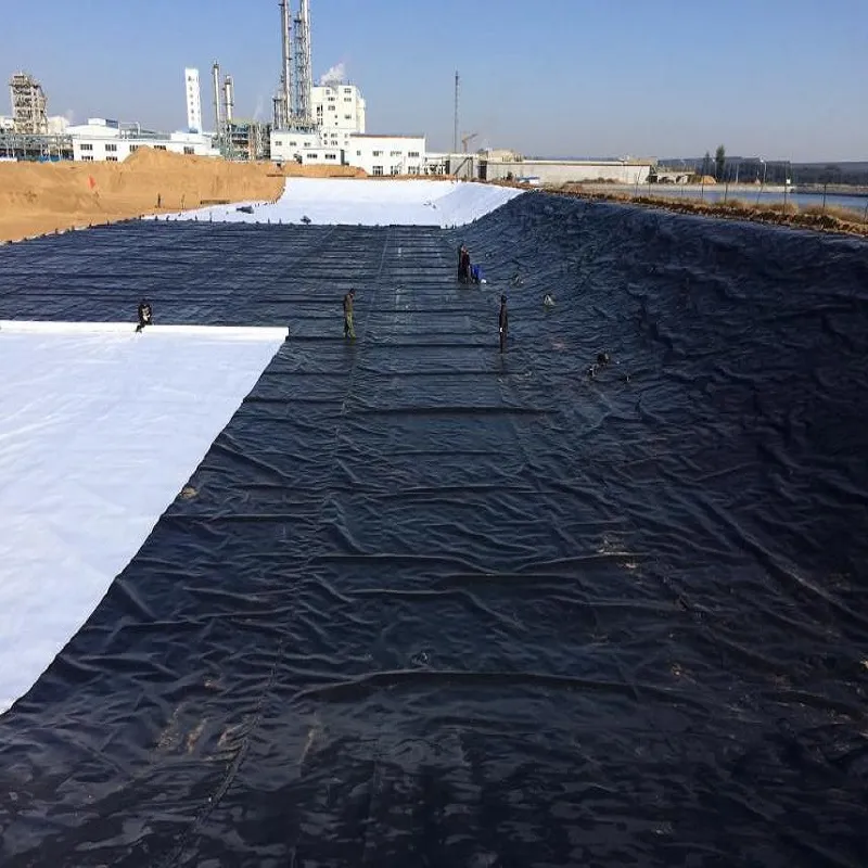 Environmental Project