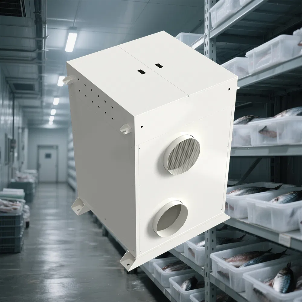 Smart Frost-Free Solution with Fresh Fruit Cold Storage, Controlled Atmosphere Cold Storage