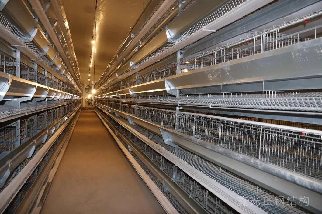 Poultry Farm Overview