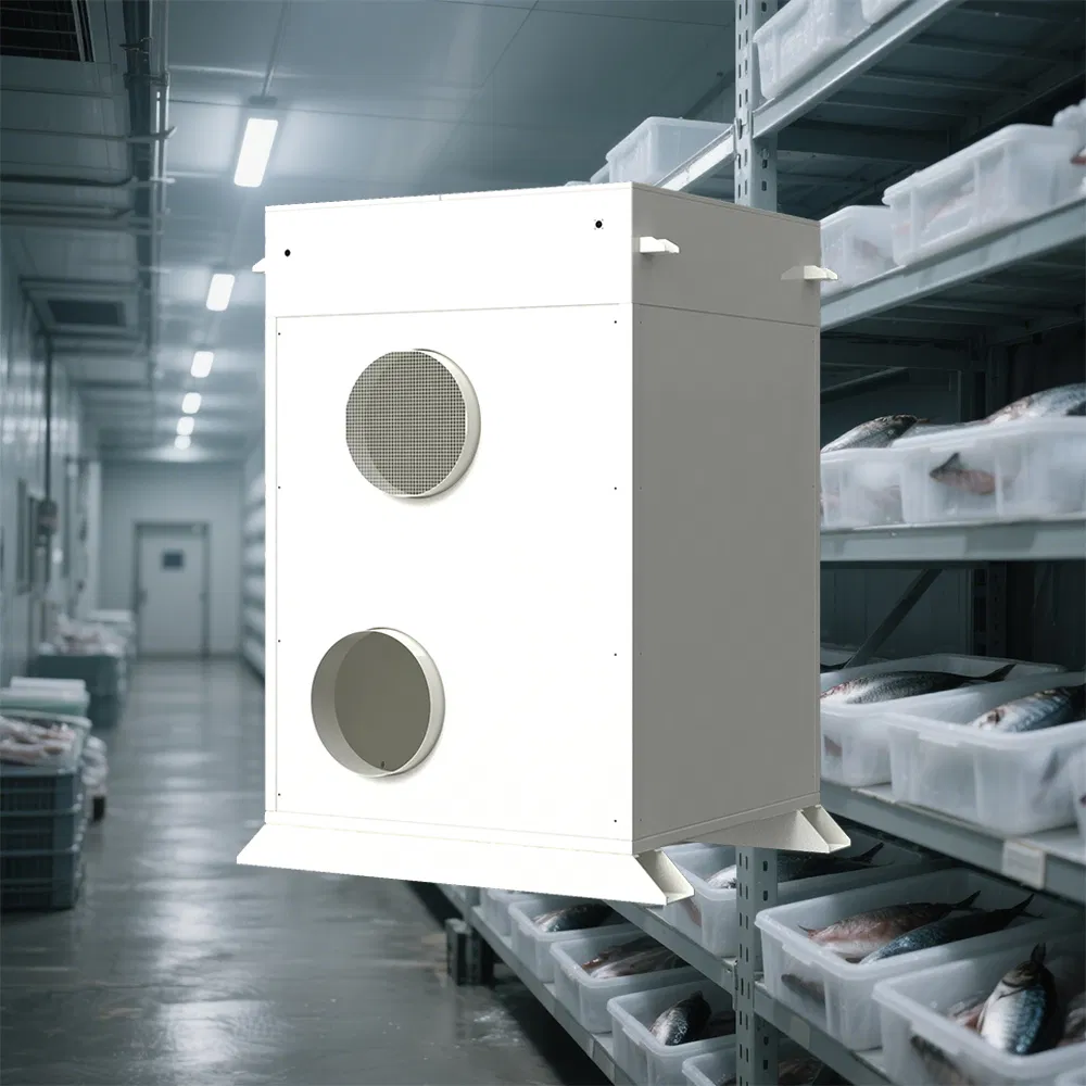 Smart Frost-Free Solution with Fresh Fruit Cold Storage, Controlled Atmosphere Cold Storage