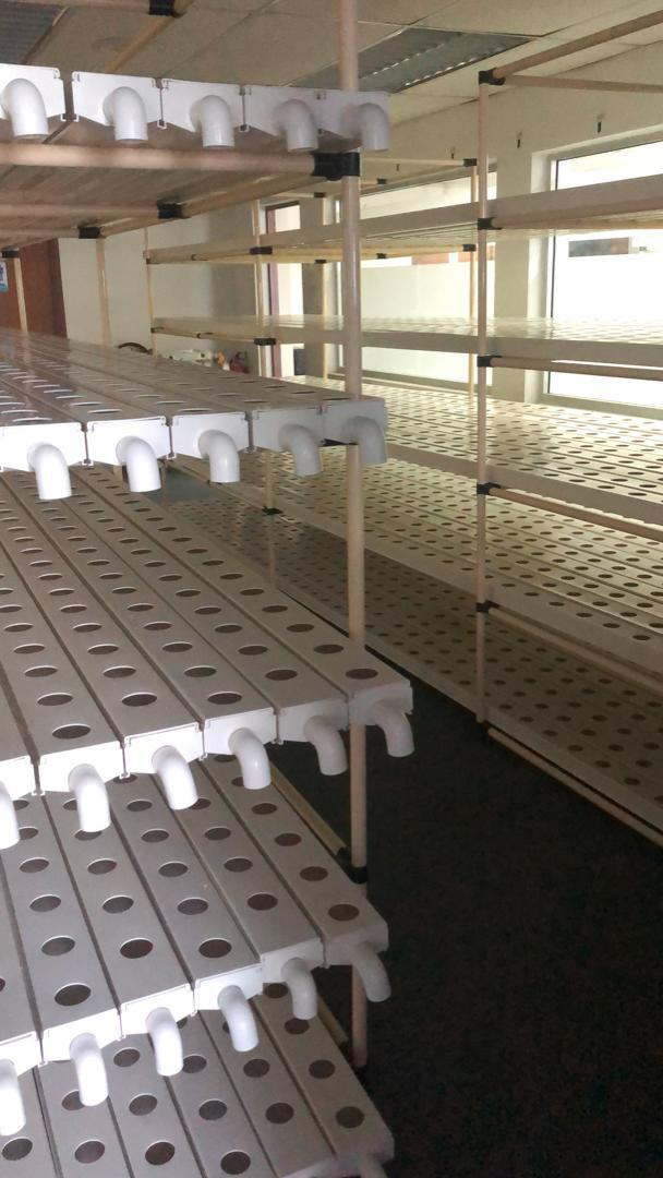 Efficient Polycarbonate Greenhouse with Hydroponic Nft Growing System for Lettuce and Multicrops