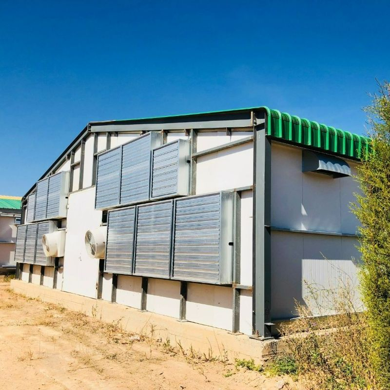 New Budget-Friendly Chicken Coop Solution