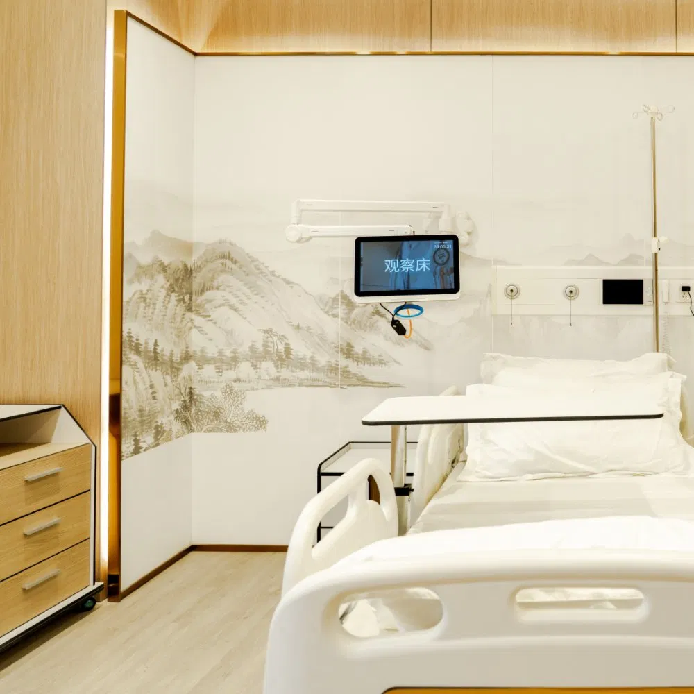 Easy to Clean Debo 8mm Hygienic Phenolic HPL Hospital Wall Paneling System Interior Solution