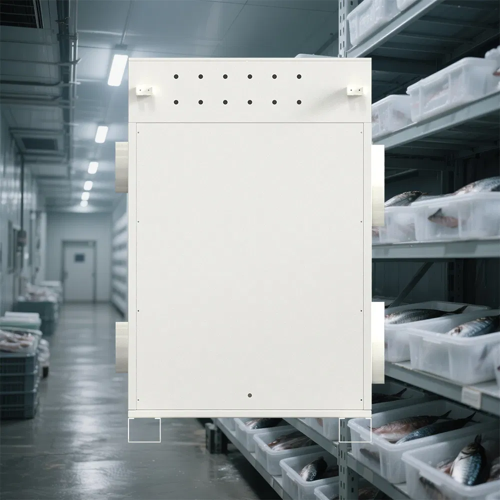 Smart Frost-Free Solution with Fresh Fruit Cold Storage, Controlled Atmosphere Cold Storage