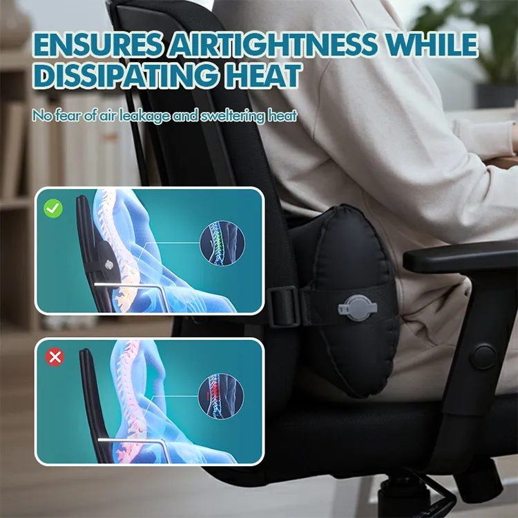Portable Lumbar Support