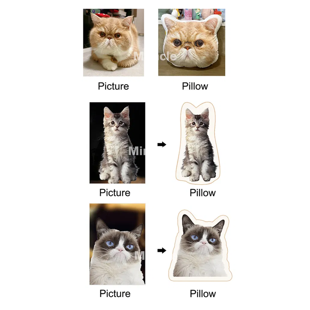 Manufacturing Process