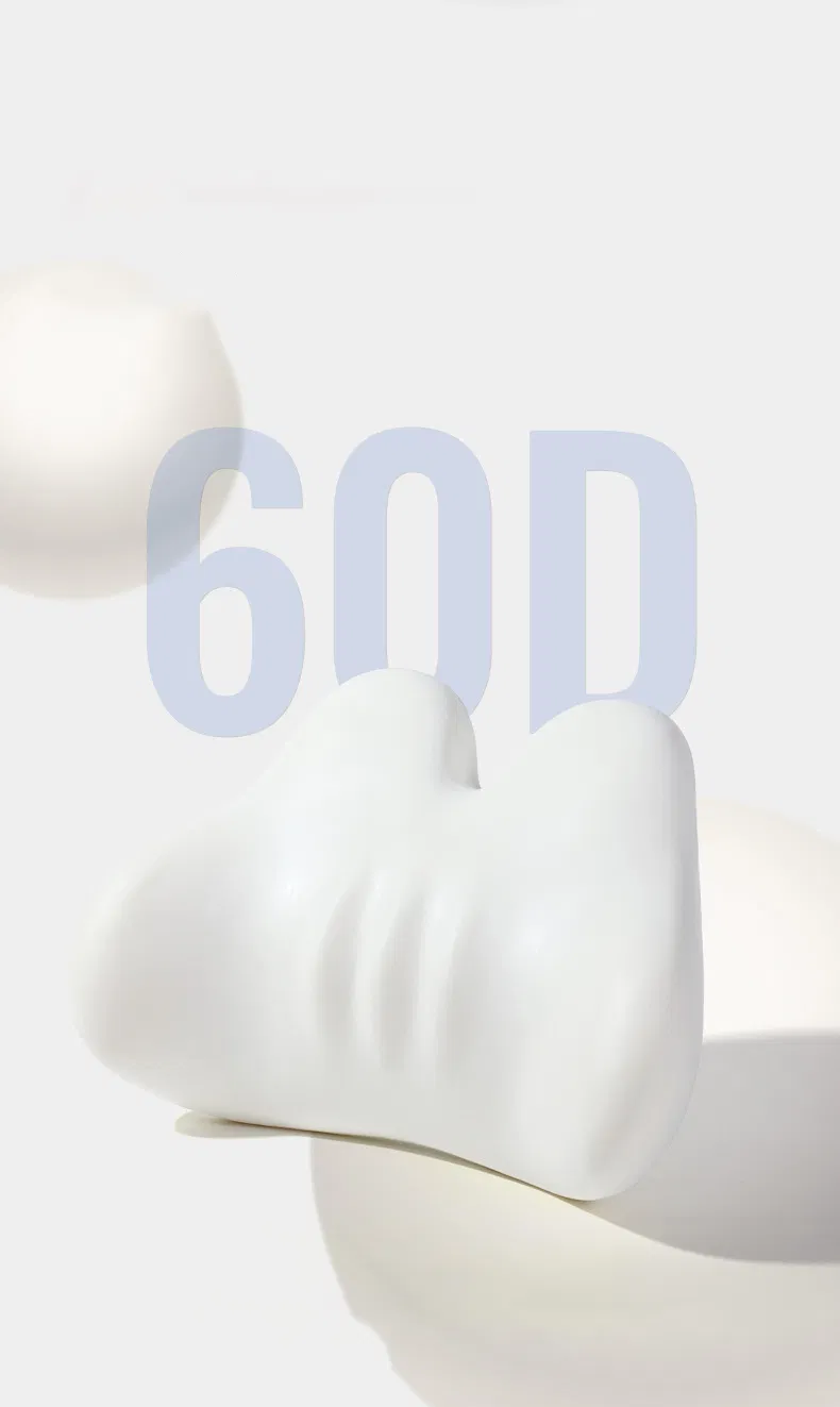 Lumbar Support View 4