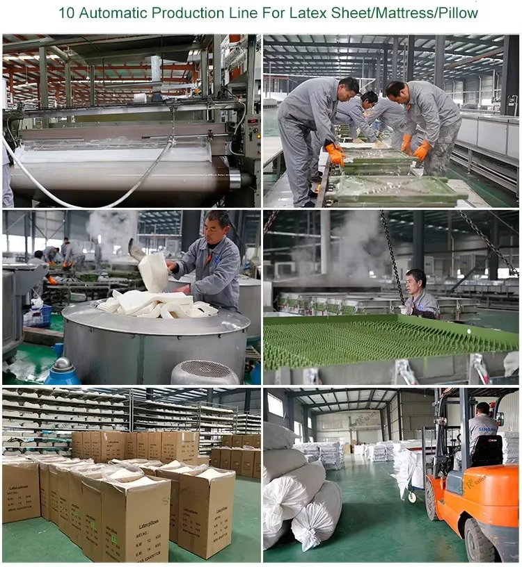 Packaging and Logistics