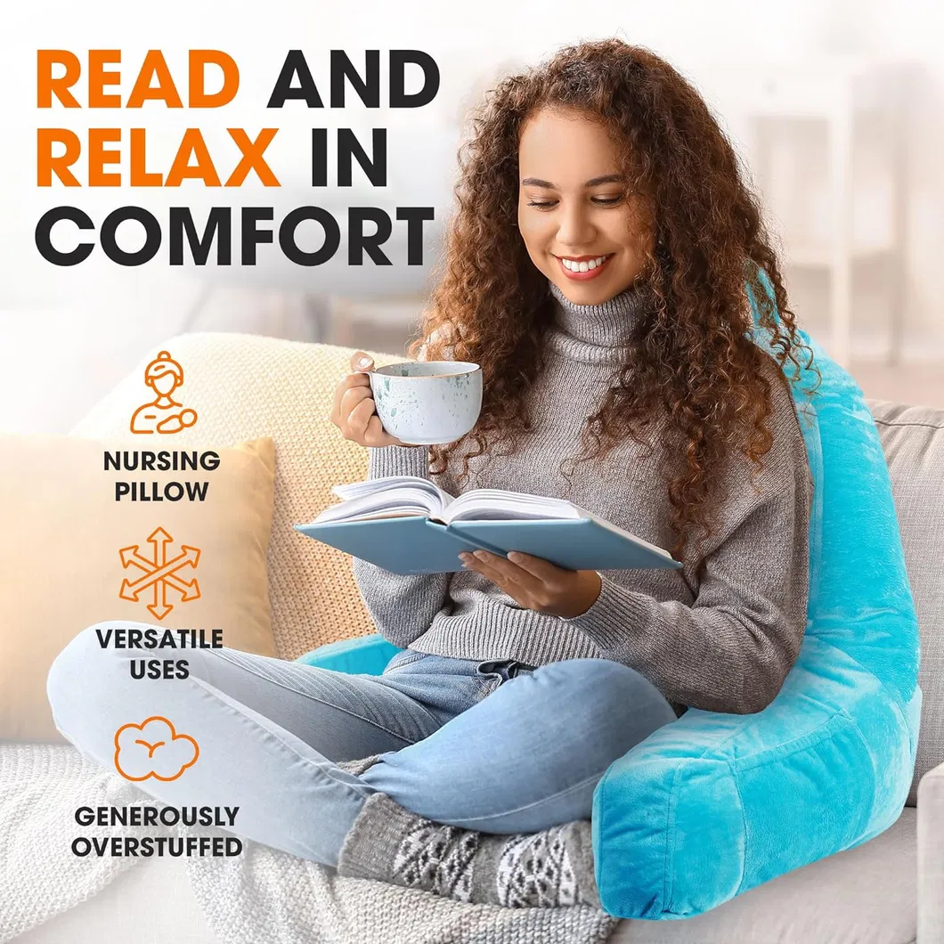 Reading Pillow View 1