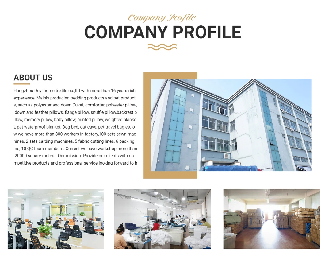 Company Overview