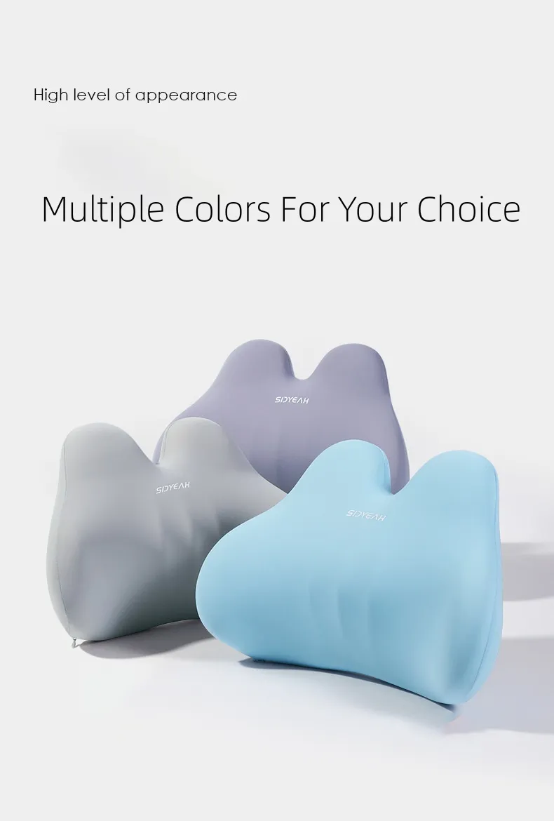 Lumbar Support View 7