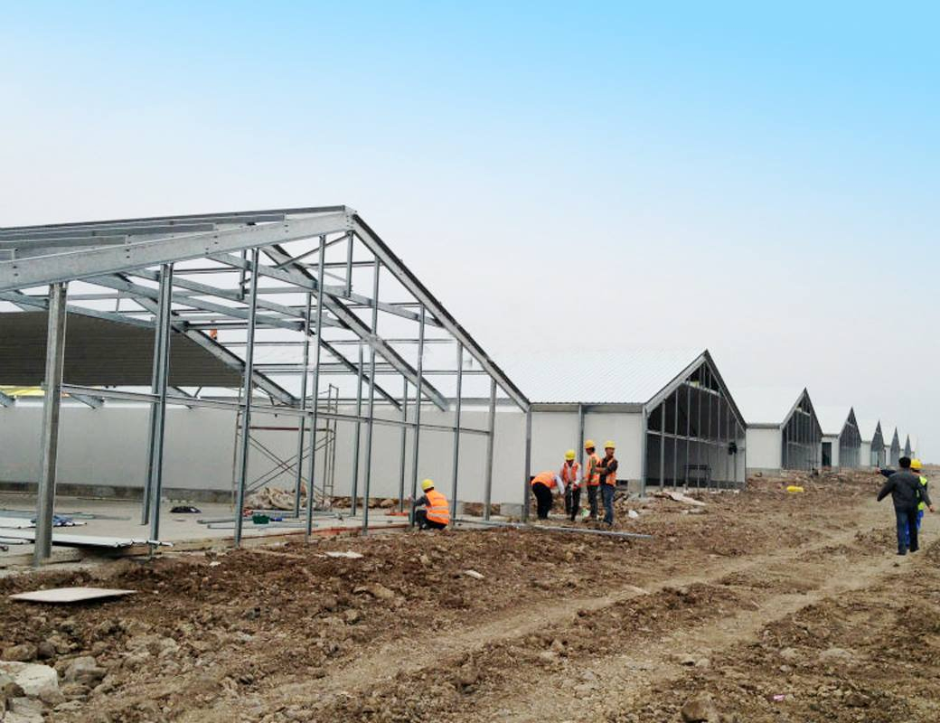 Quality Assurance Construction Steel Fabricated Steel Structural Factory and Farm Buildings