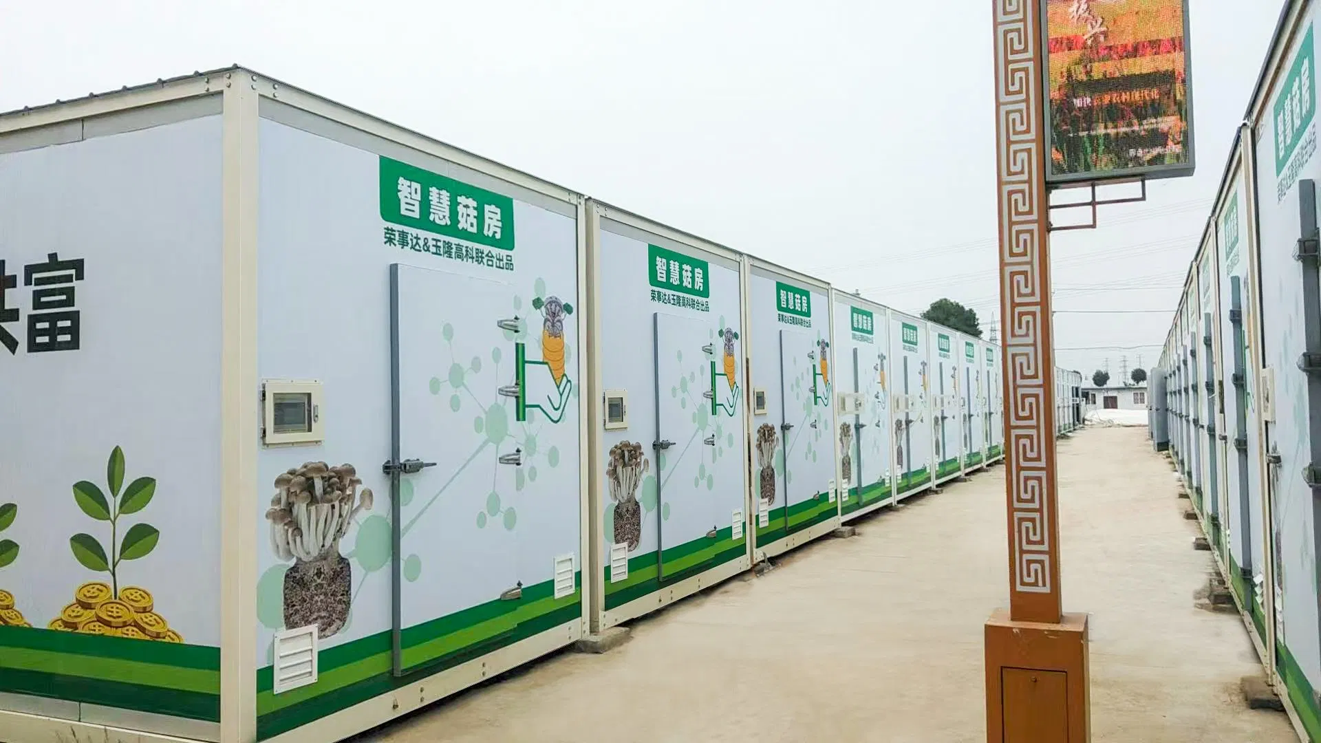 Automated Mushroom Cultivation Container Prefabricated House Design, Constant Temperature and Humidity System, User-Friendly.