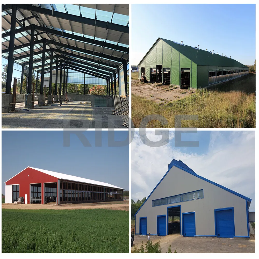 Steel Structure Poultry Farm