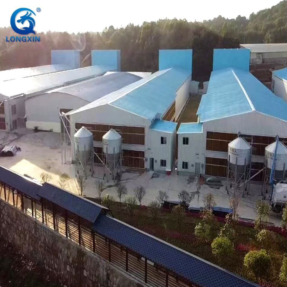 Hot Selling Prefab Layer Chicken Coop Houses Steel Structure Automatic Chicken Cage Prefabricated Poultry Farm Equipment Farming Broiler/Chicken/Poultry House
