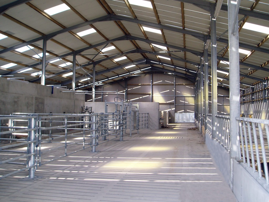 Quality Assurance Construction Steel Fabricated Steel Structural Factory and Farm Buildings