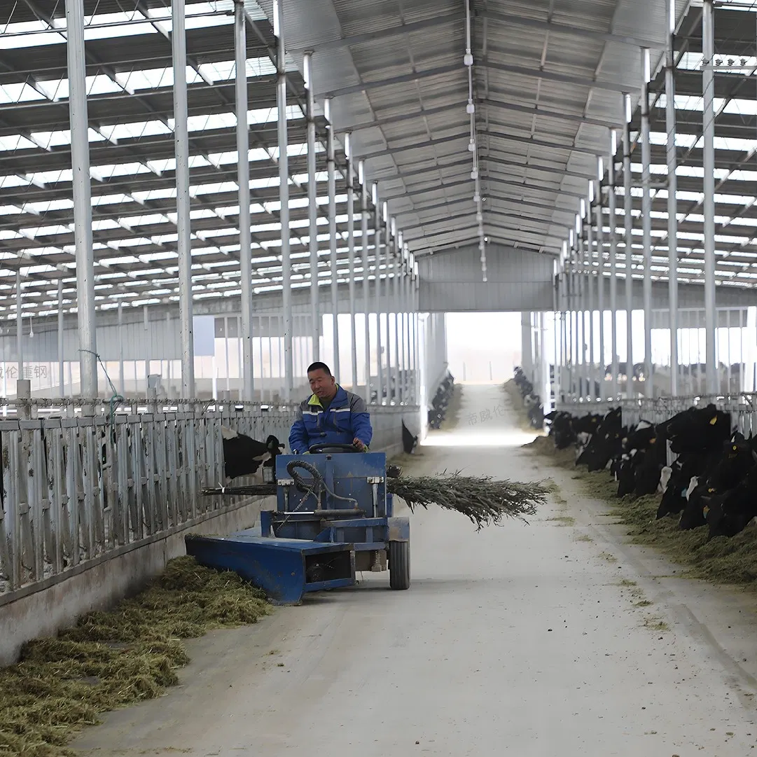 Modular Steel Structure Poultry Facility with Adjustable Space for Sustainable Goose Farm Prefabricated Chicken Farm Steel Structure Construction Design Farm