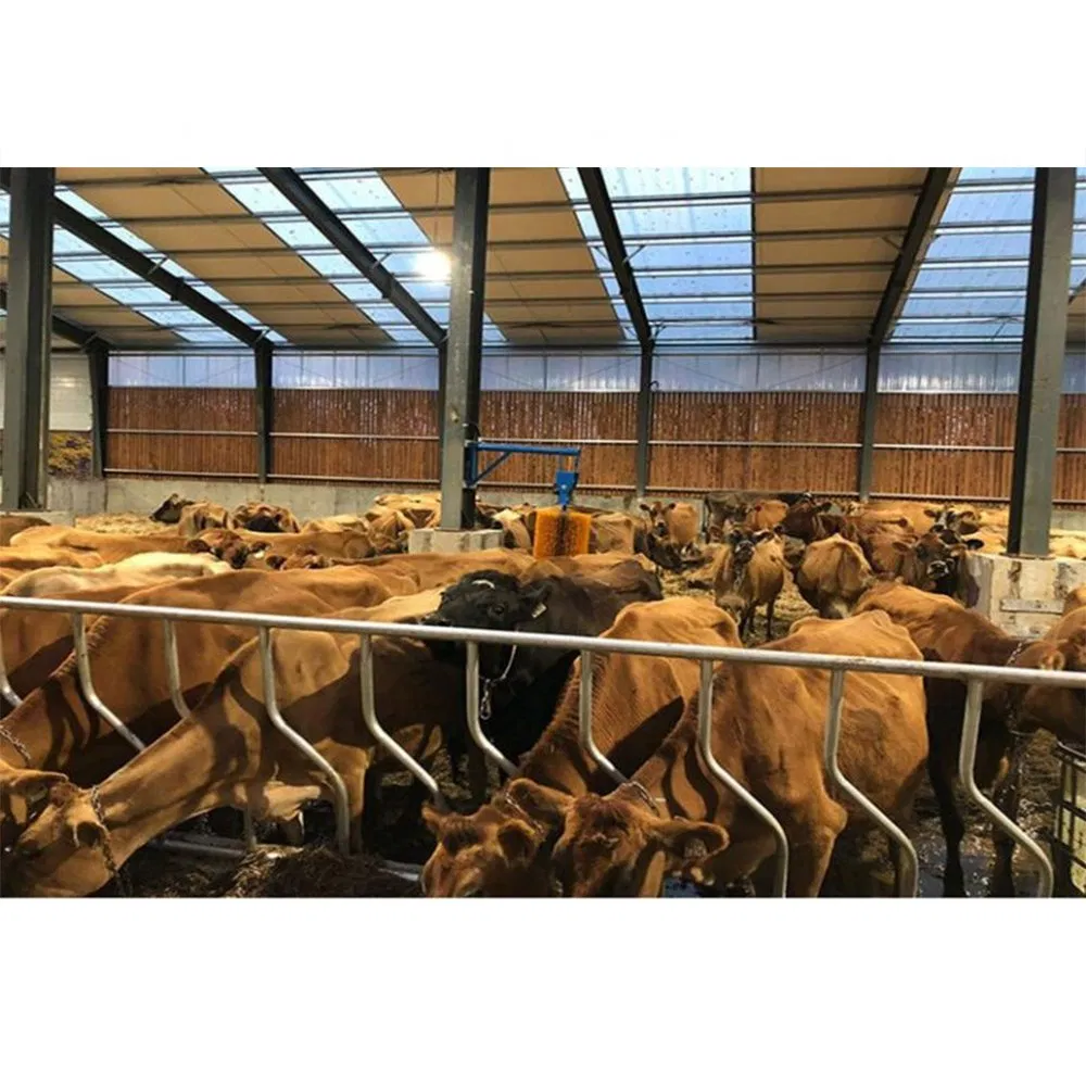 Automatic Prefabricated Steel Structure Poultry Farm Building Shed Broiler Commercial Chicken Houses