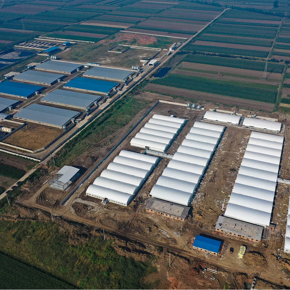 Prefabricated Steel Structure High-Quality Modular Chicken House Steel Frame Setup