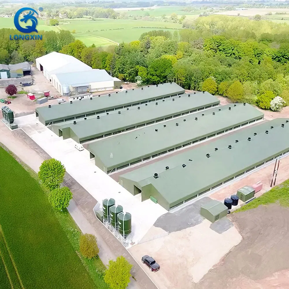 Hot Selling Prefab Layer Chicken Coop Houses Steel Structure Automatic Chicken Cage Prefabricated Poultry Farm Equipment Farming Broiler/Chicken/Poultry House