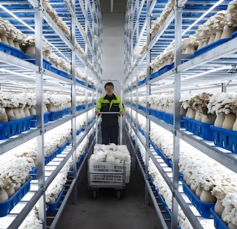 Intelligent Agriculture Commercial Passive Solar Oyster Mushroom Closed-Loop Habitat System