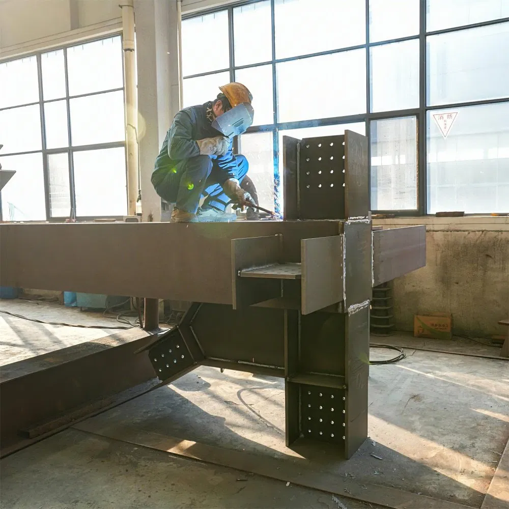 Modern Steel Structure Hotel Complex with Guest Accommodation Facilities for Tourism Industry Development Steel Construction