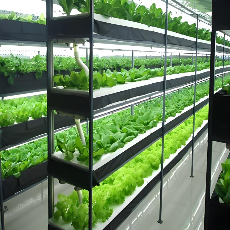 Mushroom Growing Container Smart Mushroom Planting System