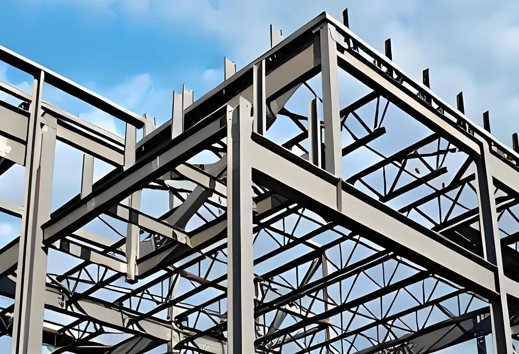 Disaster Resistance Case