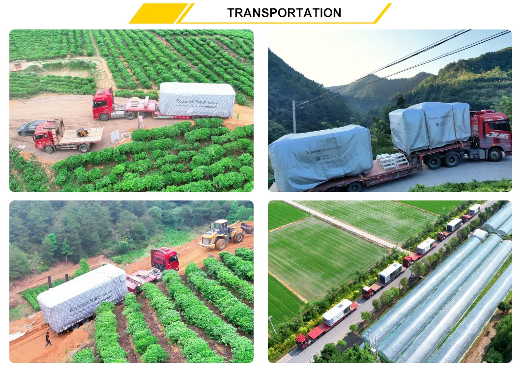 Shipping and Logistics