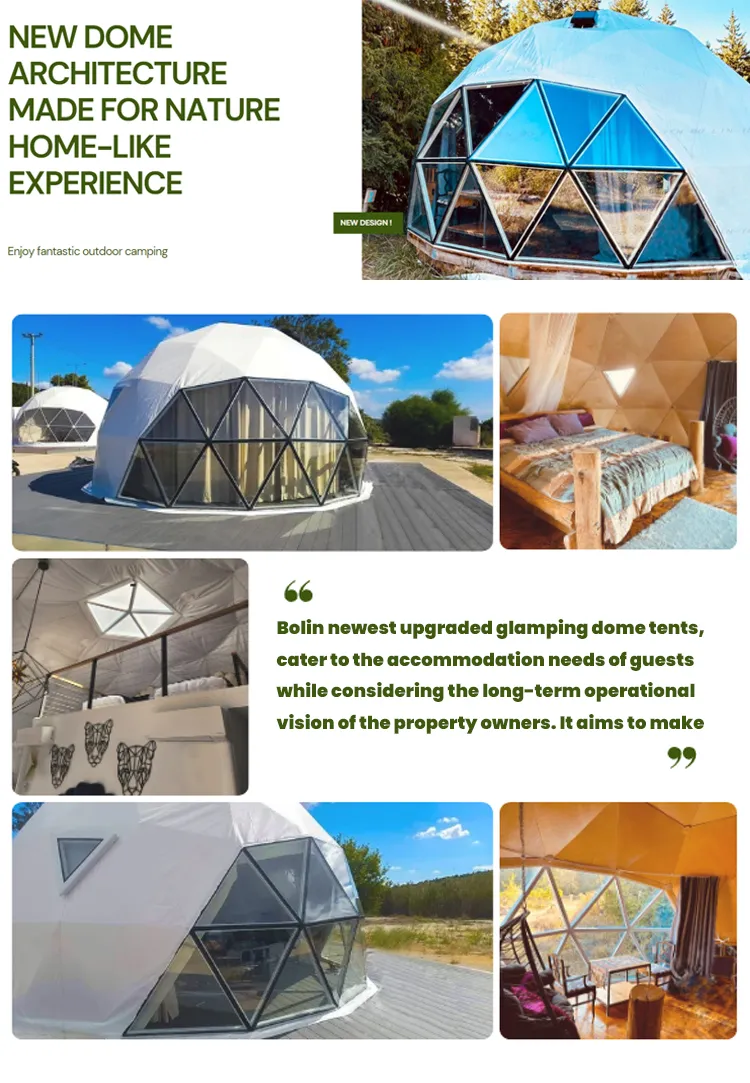 Luxury Glamping Dome