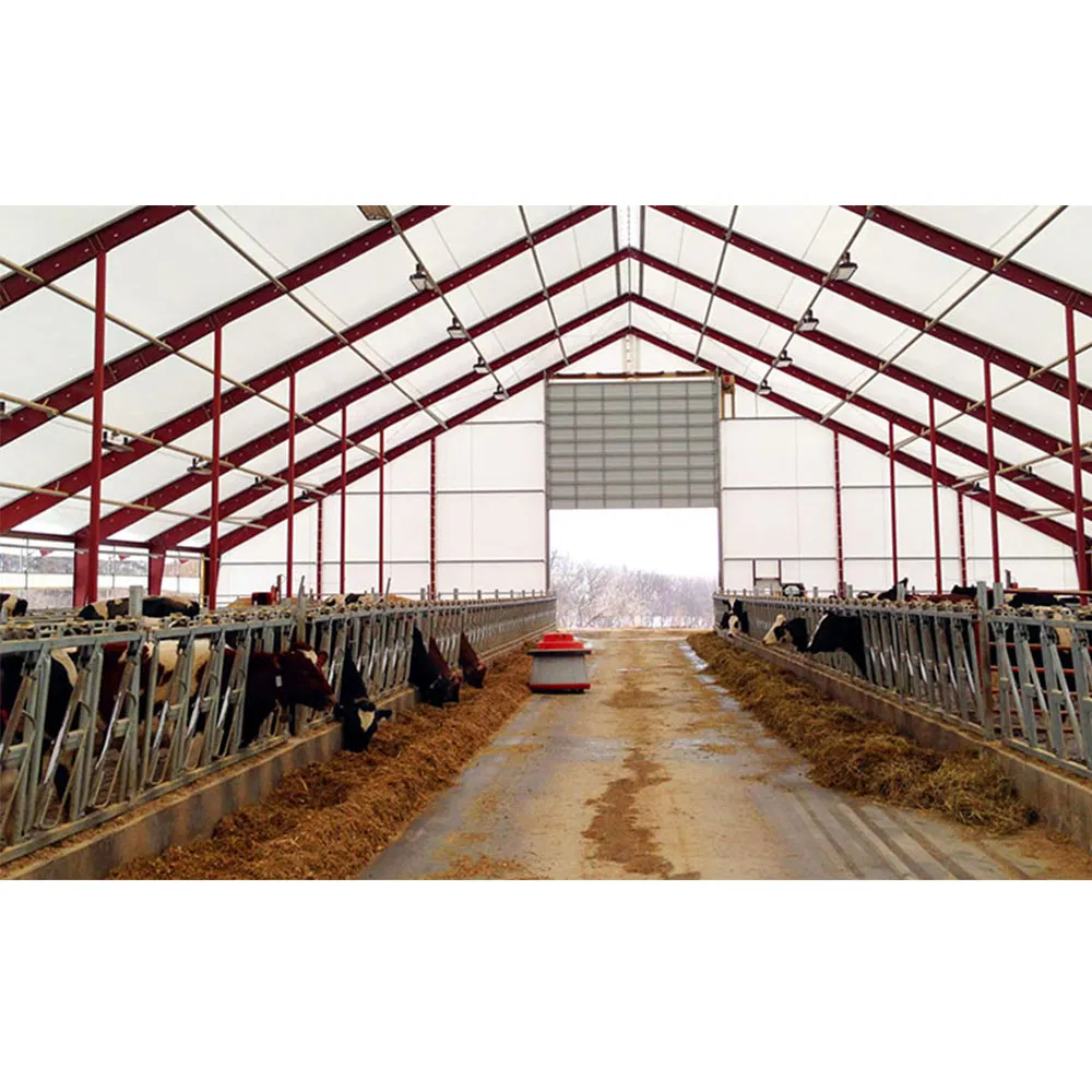 Automatic Prefabricated Steel Structure Poultry Farm Building Shed Broiler Commercial Chicken Houses