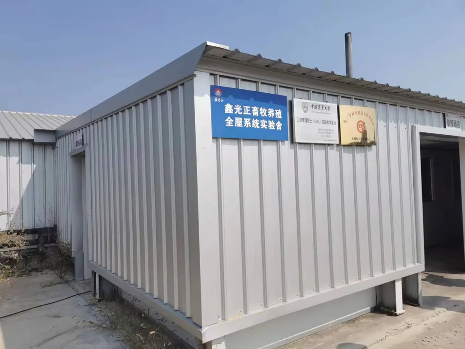 Steel Frame Construction