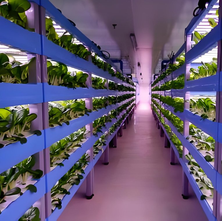 Mushroom Growing Container Smart Mushroom Planting System