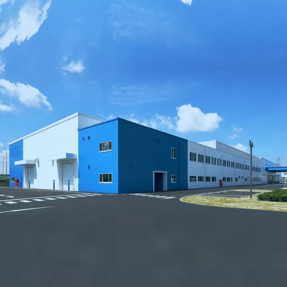 Lightweight Prefabricated Customized Steel Structure Engineered Project Warehouse Building