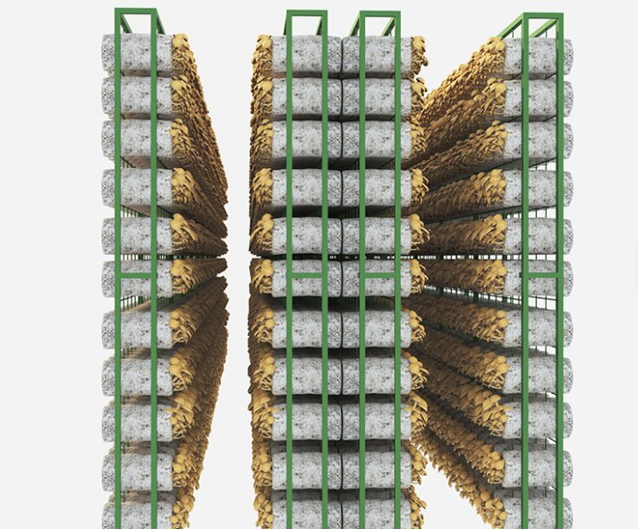 High-Efficiency Eco-Friendly Multi-Functional Smart Mushroom House Energy-Saving Prefab Cultivation System
