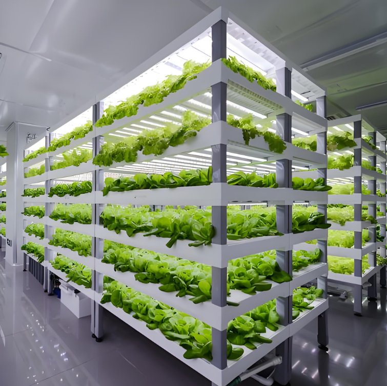 Automatic Time Smart Mushroom Planting System