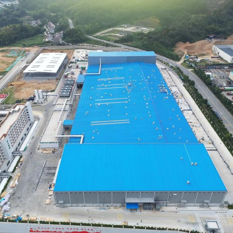 Modular Steel Structure Poultry Facility with Adjustable Space for Sustainable Goose Farm Prefabricated Chicken Farm Steel Structure Construction Design Farm