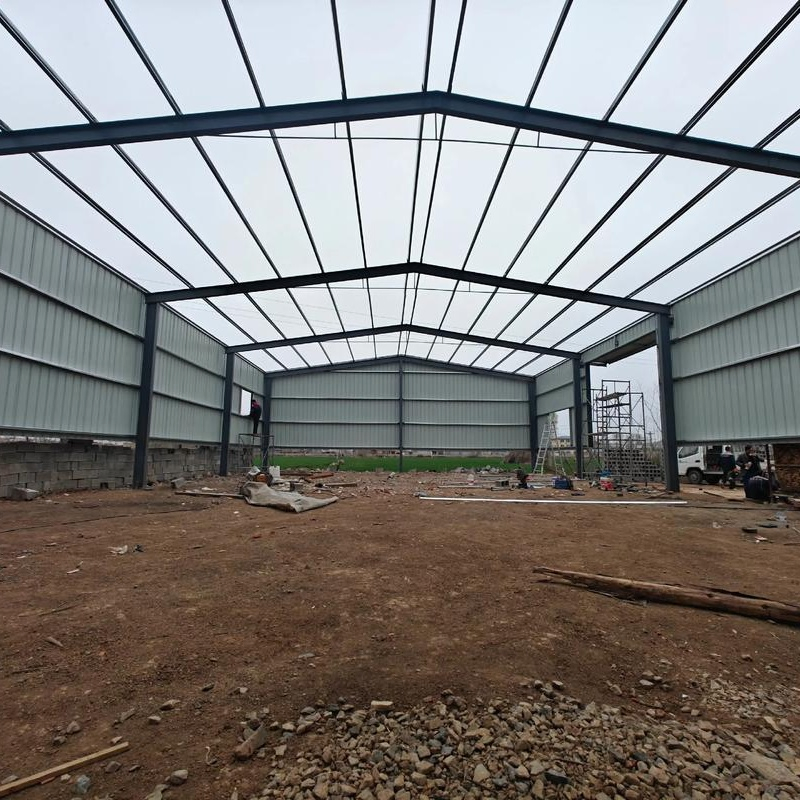 Modular Steel Structure Poultry Facility with Adjustable Space for Sustainable Goose Farm Prefabricated Chicken Farm Steel Structure Construction Design Farm