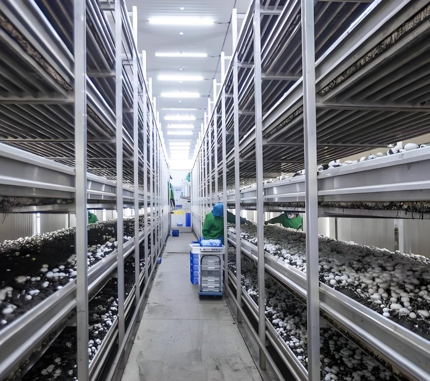 Mushroom Growing Container Smart Mushroom Planting System