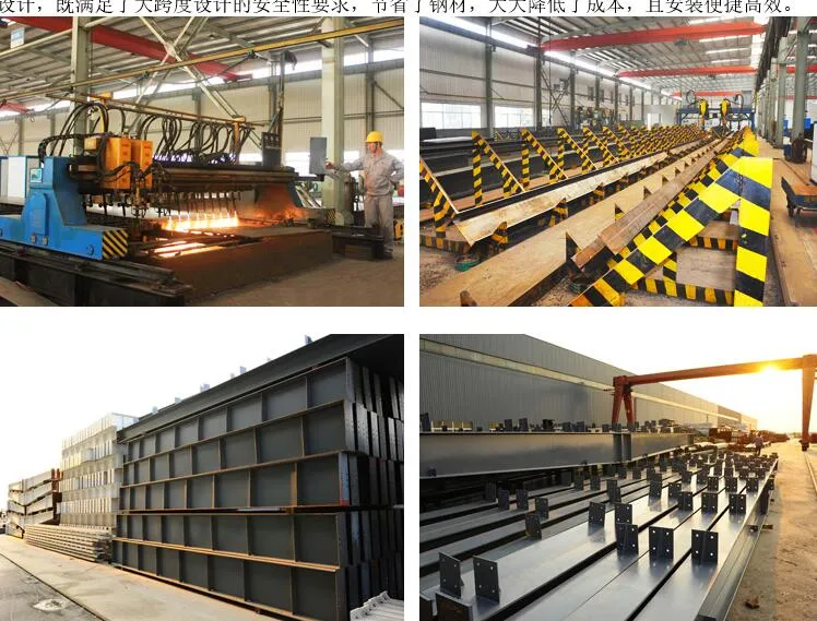 Steel Structure Building